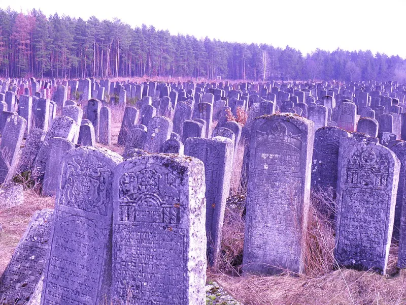 Dead on Arrival: The Forensic Guide to Spotting NFT Projects That Were Never Going to Make It
